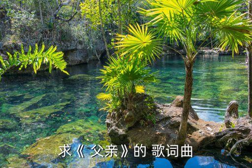 父親筷子兄弟歌詞,歌曲《父親》是哪首歌?