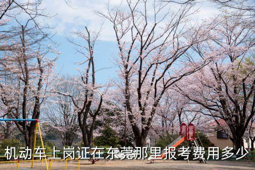 機動車上崗證在東莞那里報考費用多少