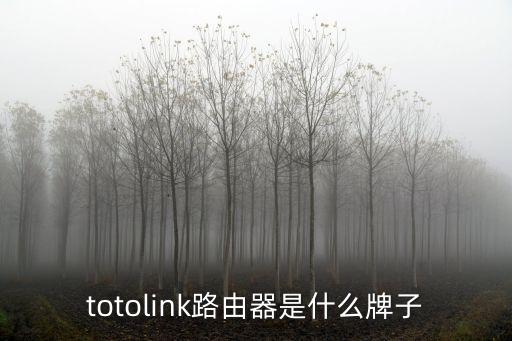 深圳眾車贏家投資有限公司，投入到深圳眾車在線的錢收得回來嗎 現在法人代表王奉友已逮