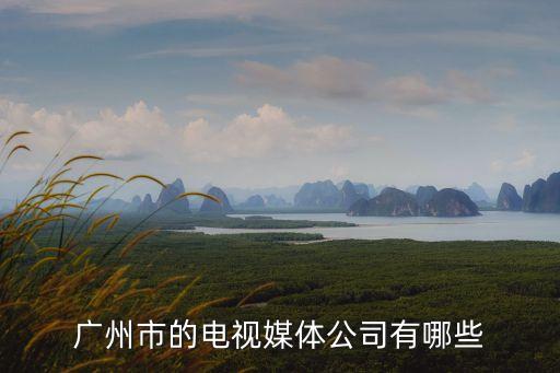 廣州報加視傳媒，廣東分視傳媒是在廣州的嗎
