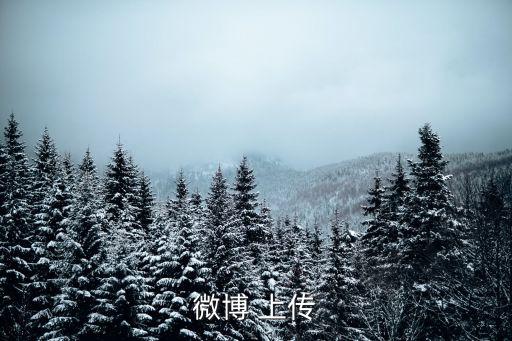 廣州龍來微博，微博 上傳