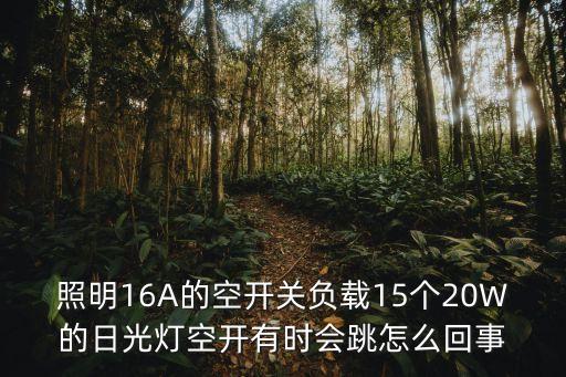 照明16A的空開關負載15個20W的日光燈空開有時會跳怎么回事