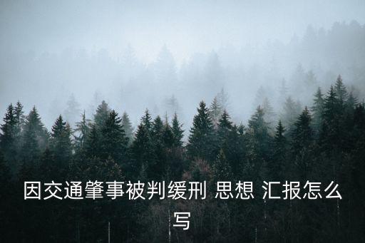 處分思想匯報,紀律處分人員為什么要做好思想匯報?