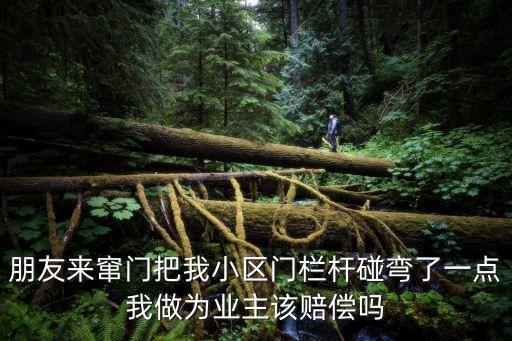 朋友來(lái)竄門(mén)把我小區(qū)門(mén)欄桿碰彎了一點(diǎn)我做為業(yè)主該賠償嗎