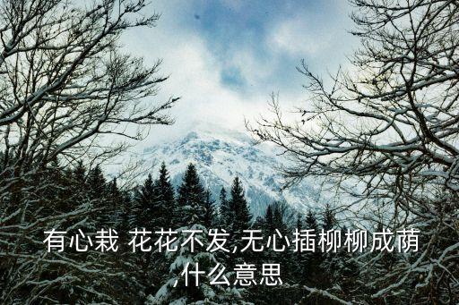  有心栽 花花不發,無心插柳柳成蔭,什么意思