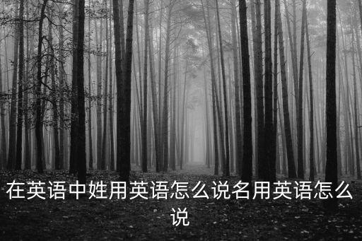 姓英語，姓英語單詞拼寫怎么寫