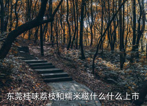 東莞桂味荔枝上市時間，荔枝什么時候有賣的