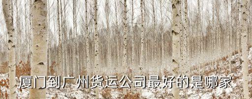 廈門到廣州貨運公司最好的是哪家