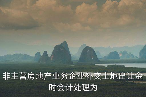 非主營房地產業務企業補交土地出讓金時會計處理為