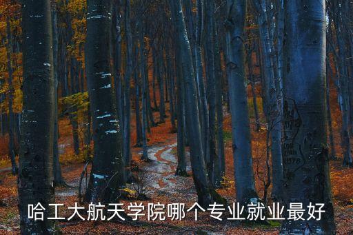 哈工大航天學(xué)院哪個專業(yè)就業(yè)最好