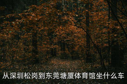 從深圳松崗到東莞塘廈體育館坐什么車