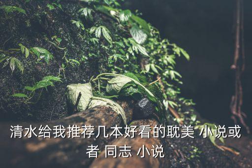 清水給我推薦幾本好看的耽美 小說或者 同志 小說