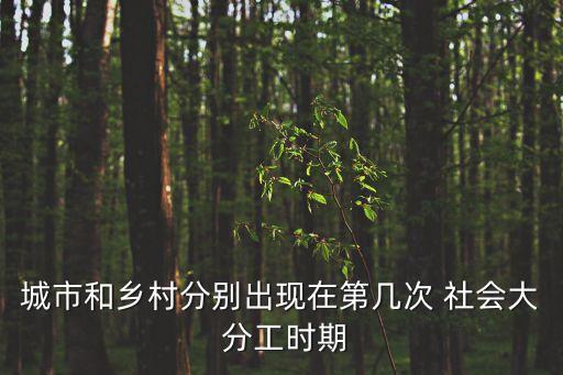 城市和鄉(xiāng)村分別出現(xiàn)在第幾次 社會(huì)大 分工時(shí)期