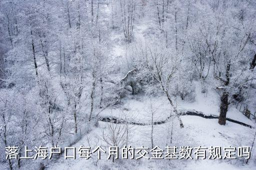 落上海戶口每個月的交金基數有規定嗎