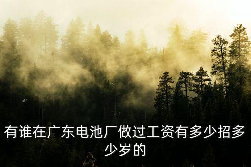 廣州鉛酸蓄電池廠招聘信息，廣東有蓄電池廠招工嗎廠長(zhǎng)技術(shù)管理都行