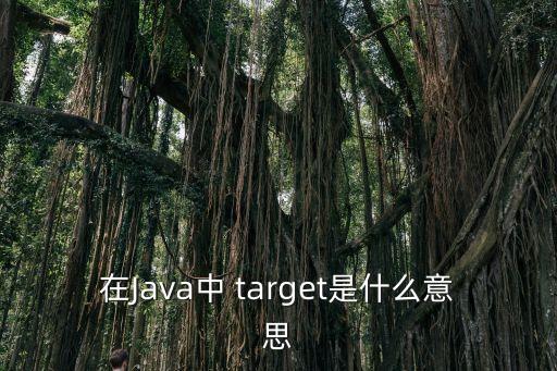 在Java中 target是什么意思