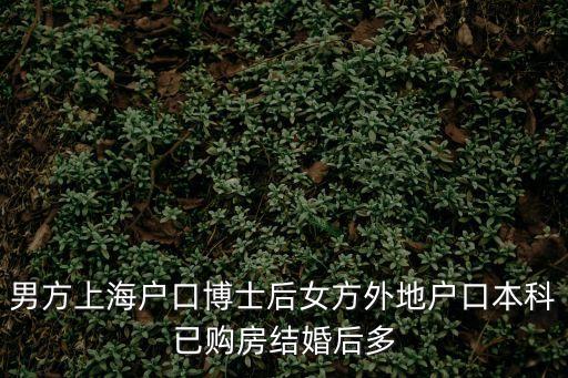 上海市博士后子女戶籍，博士后及配偶戶口問題