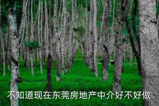不知道現(xiàn)在東莞房地產(chǎn)中介好不好做