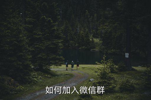 廣州人滯留武漢加入微信群，被人踢出微信群怎么才能再進去