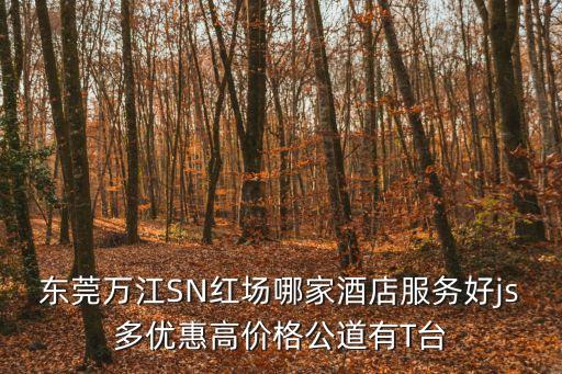 東莞萬江SN紅場哪家酒店服務(wù)好js多優(yōu)惠高價格公道有T臺