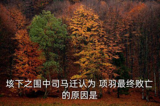 垓下之圍中司馬遷認為 項羽最終敗亡的原因是