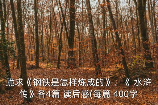 跪求《鋼鐵是怎樣煉成的》、《 水滸傳》各4篇 讀后感(每篇 400字
