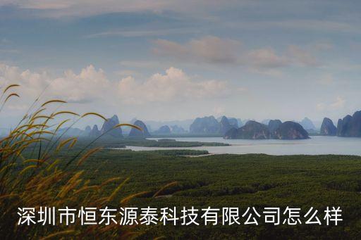 深圳市恒東源泰科技有限公司怎么樣