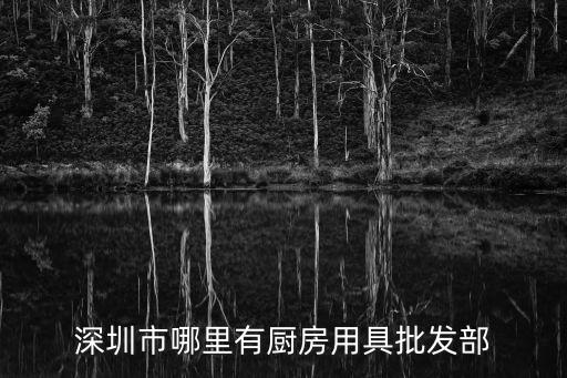 深圳市友記廚具，深圳哪里可以買到固體酒精