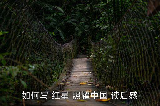 紅星照耀中國讀后感500字,第九章讀后感