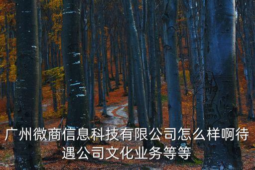 廣州微商信息科技有限公司怎么樣啊待遇公司文化業務等等