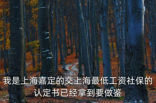 我是上海嘉定的交上海最低工資社保的認定書已經拿到要做鑒