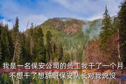 我是一名保安公司的員工我干了一個月不想干了想辭職保安隊長對我說沒