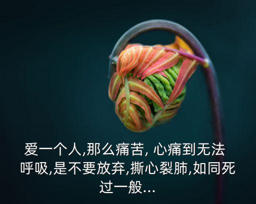 愛一個人,那么痛苦, 心痛到無法 呼吸,是不要放棄,撕心裂肺,如同死過一般...