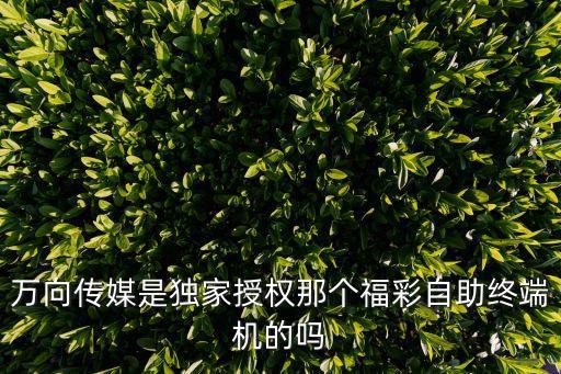 萬向傳媒是獨家授權那個福彩自助終端機的嗎