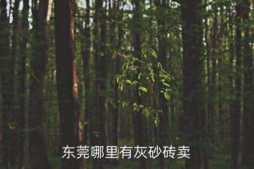 東莞哪里有灰砂磚賣