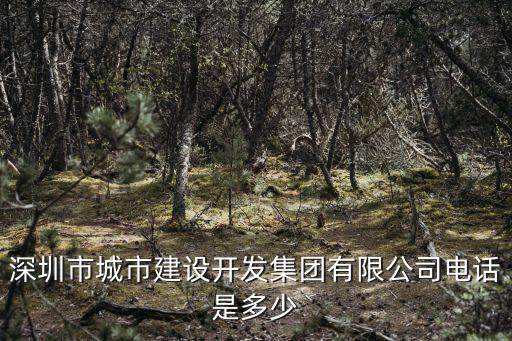 深圳陳茂政公示，深圳寶安區的騰訊網財務負責人是誰