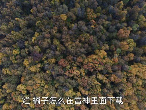 橘子加速器