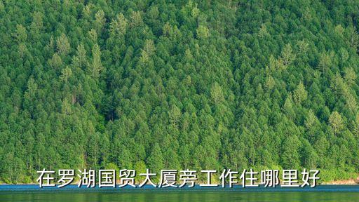 深圳國貿廣場附近住店，在羅湖國貿大廈旁工作住哪里好