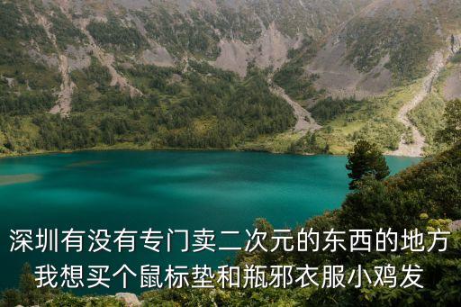 深圳有沒有專門賣二次元的東西的地方我想買個鼠標墊和瓶邪衣服小雞發