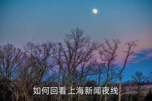 如何回看上海新聞夜線