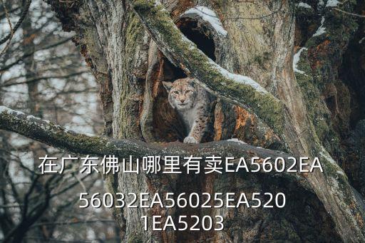 在廣東佛山哪里有賣EA5602EA56032EA56025EA5201EA5203