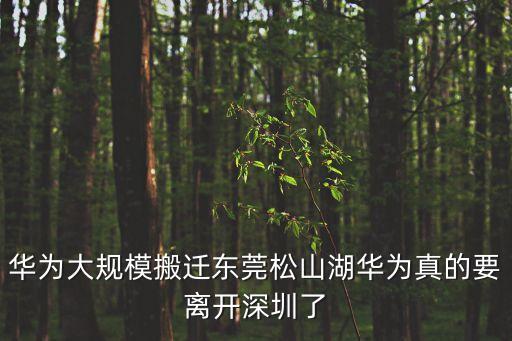 華為離開深圳傳言不斷，手機離開深圳沒信號