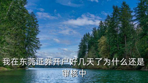 我在東莞證券開戶好幾天了為什么還是審核中