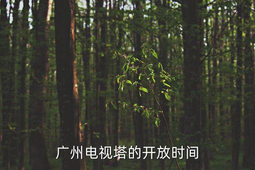 廣州何時開放，廣州電視塔的開放時間