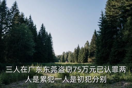 三人在廣東東莞盜竊75萬元已認罪兩人是累犯一人是初犯分別