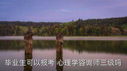 畢業生可以報考 心理學咨詢師三級嗎