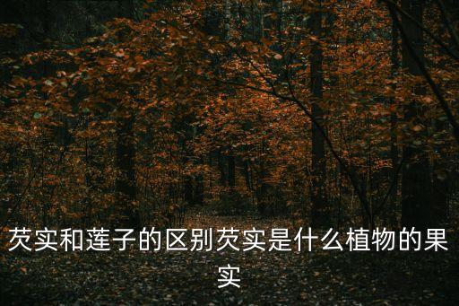 芡實和蓮子的區(qū)別芡實是什么植物的果實