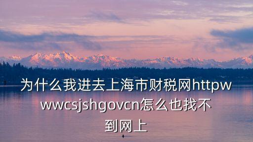 上海市浦東財稅網，為什么我進去上海市財稅網httpwwwcsjshgovcn怎么也找不到網上
