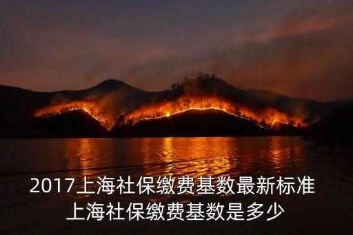 2017上海市養老保險上限，2017上海社保繳費基數最新標準 上海社保繳費基數是多少