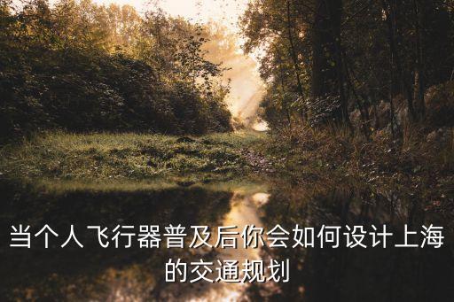 上海市總體規劃2035 交通，當個人飛行器普及后你會如何設計上海的交通規劃